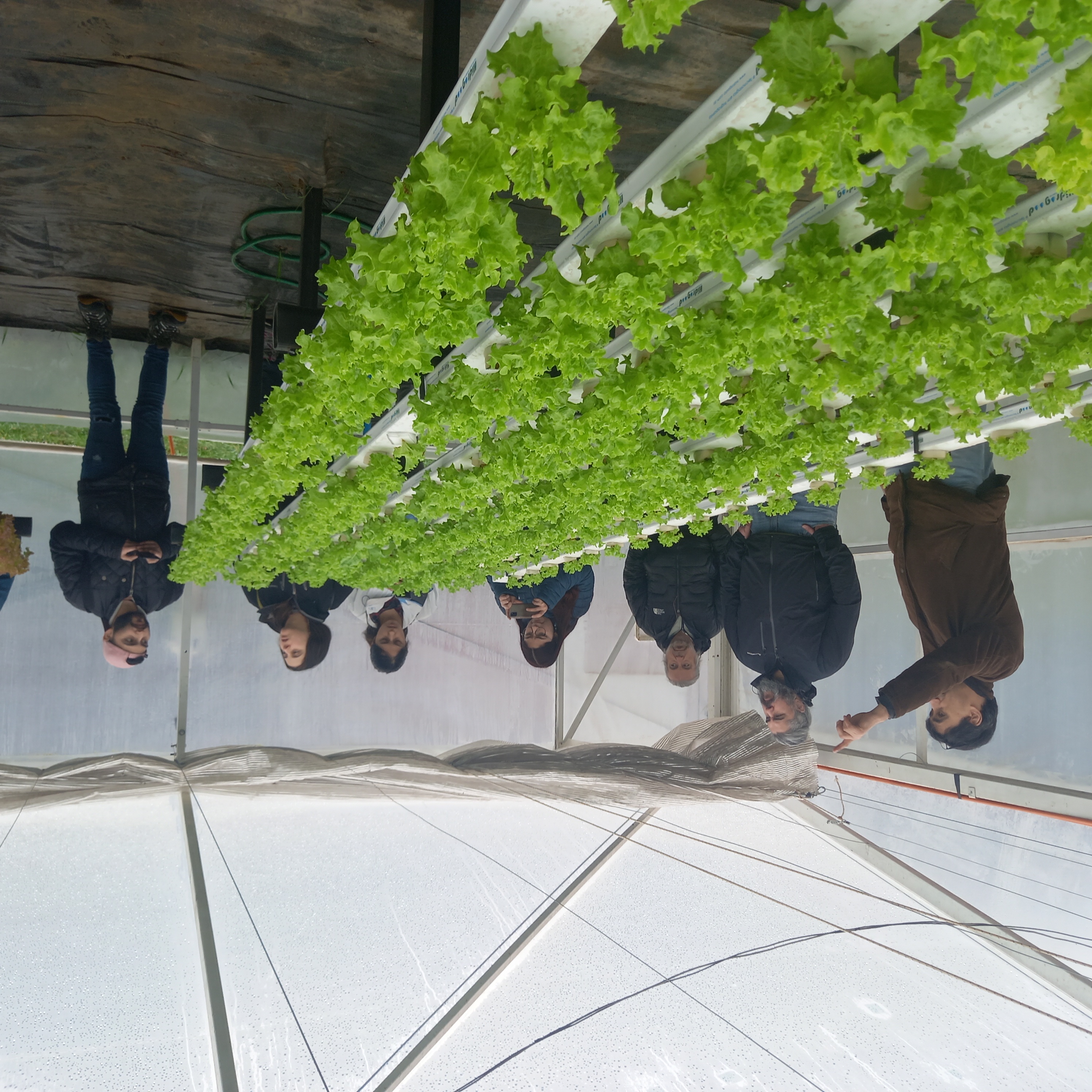 Delegación multidisciplinaria realizó gira técnica a Los Ríos para levantar proyecto de invernaderos adaptables a las condiciones climáticas