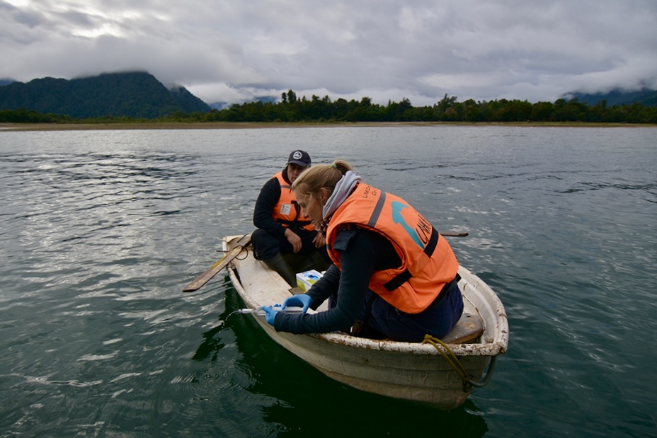 Cierre del proyecto MOBI-Aysén: ADN ambiental muestra exitosos resultados en detección de mamíferos marinos