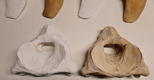 Fablab Uaysén: Impresión 3D en el Museo Regional de Aysén