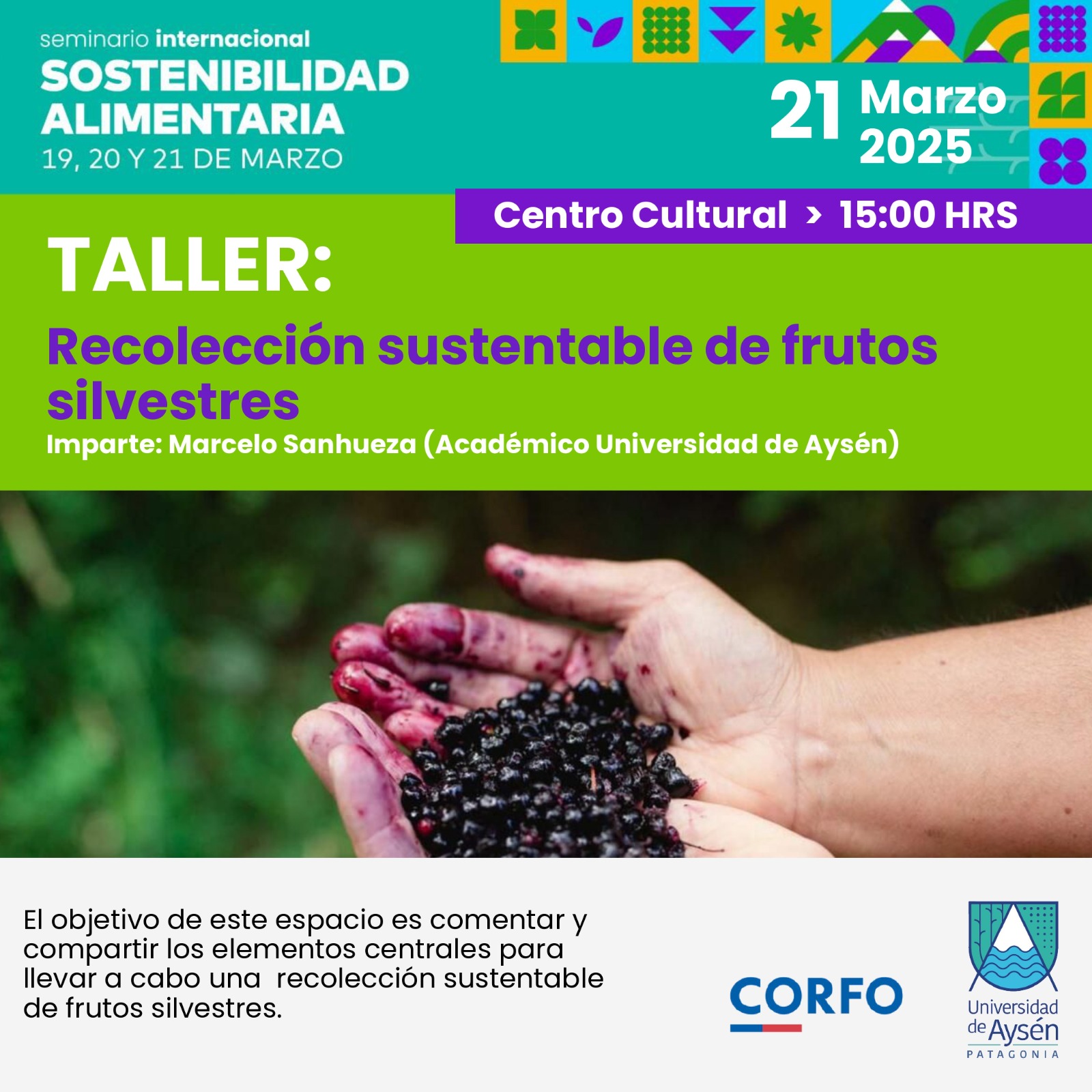 TALLER: Recolección sustentable de frutos silvestres