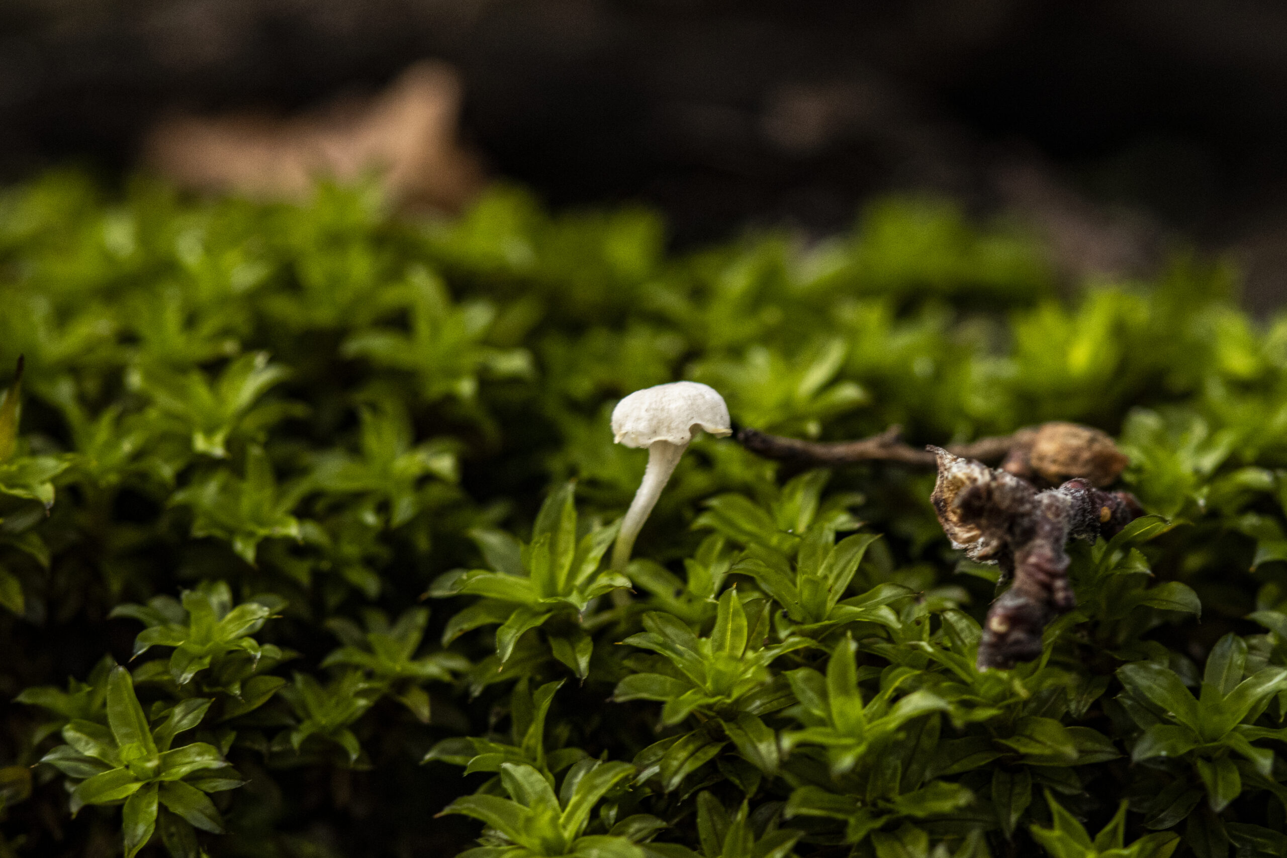 laboratorio-ciencias-01