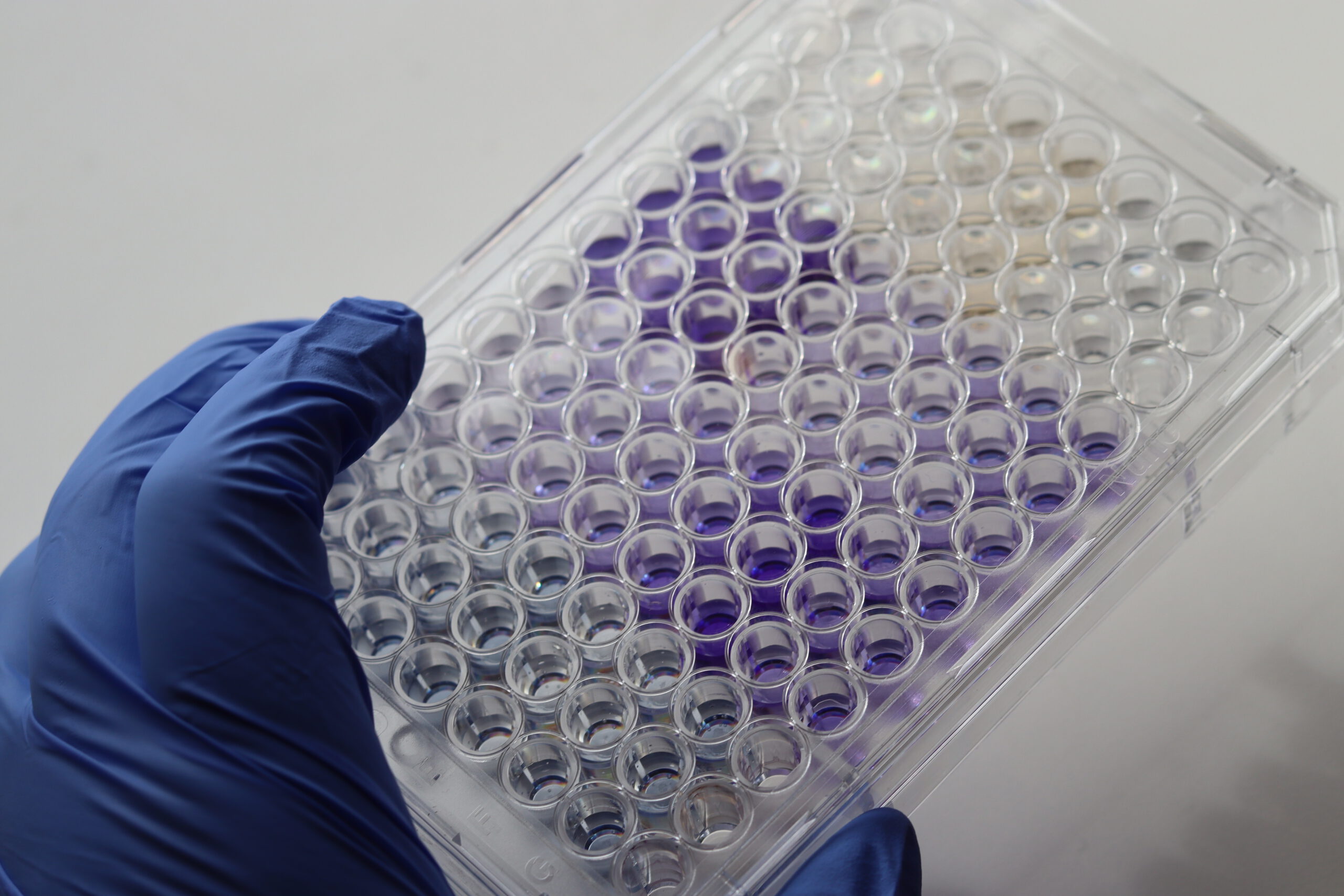 laboratorio-ciencias-03